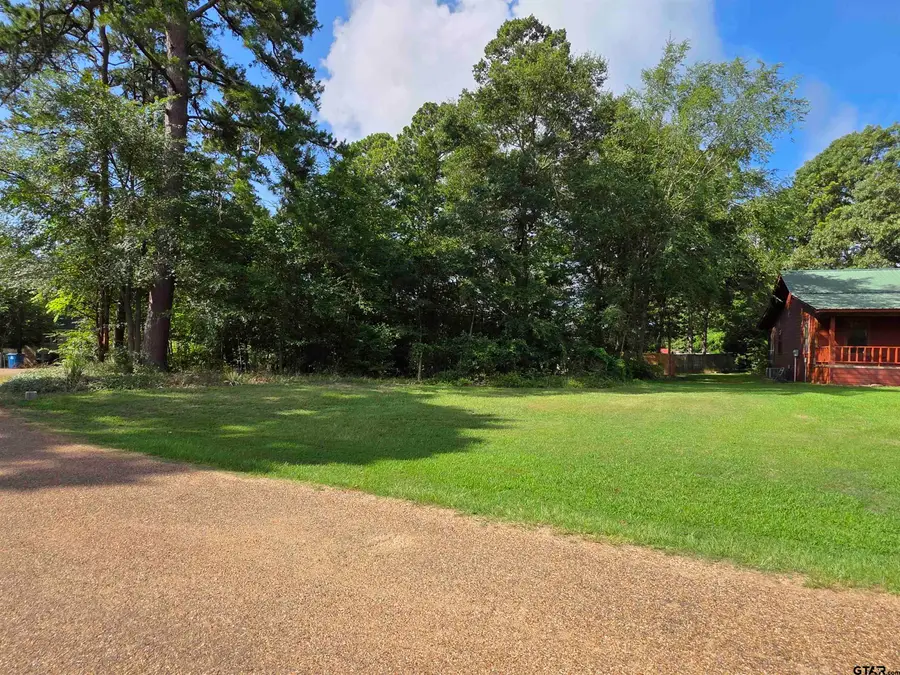 529 Wildewood Drive, Chandler Brownsboro, TX 75758 - #2