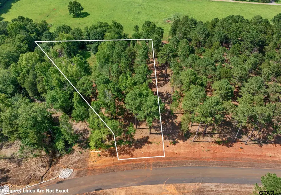 Lot 21A & Boat H Lot 26 Oak River, Frankston, TX 75763 - #2