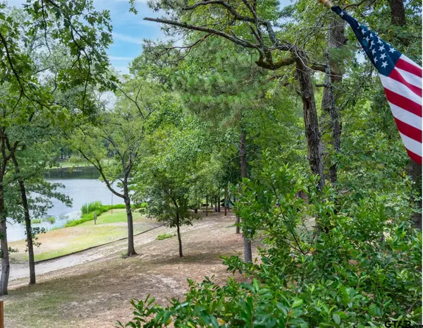 170 Wild Goose 221f, Holly Lake Ranch,  75765