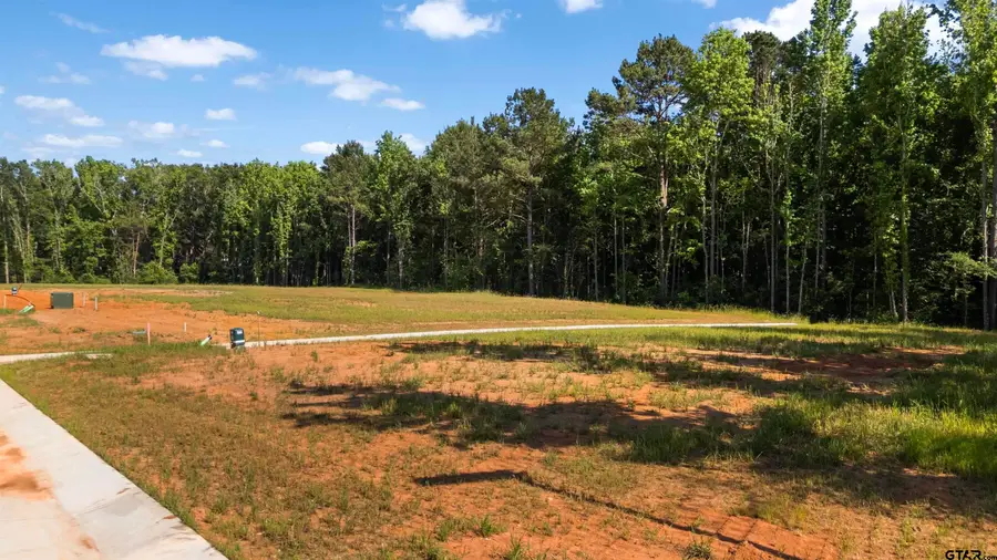 505 Driftwood Circle, Troup, TX 75789 - #2