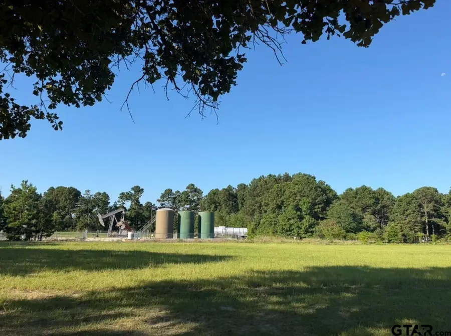TBD County Road 3147, Tyler, TX 75706 - #3