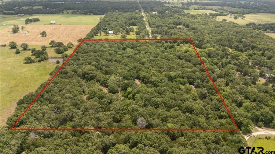 404 Pr 6227, Canton, TX 75103 - #2