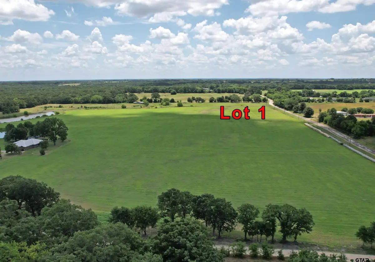 Lot 1 Vz Cr 3208, Wills Point, TX 75169 - #1