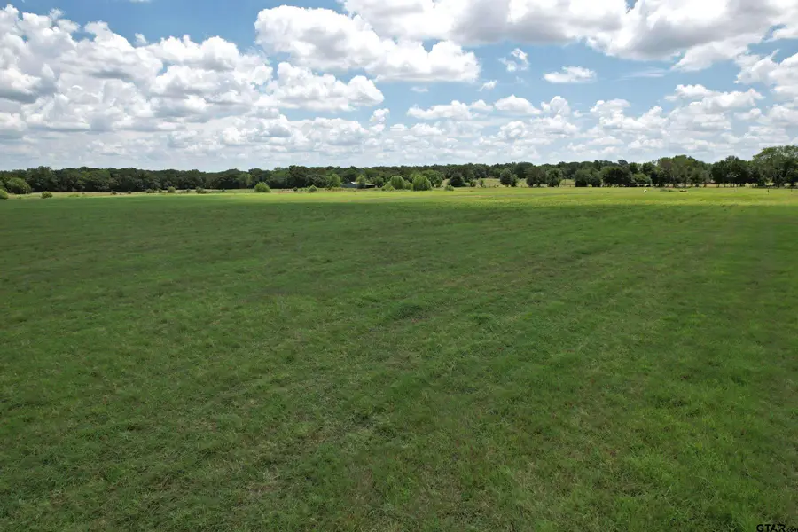 Lot 1 Vz Cr 3208, Wills Point, TX 75169 - #2