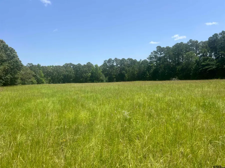 TBD Cr 44400-2, Powderly, TX 75473 - #2