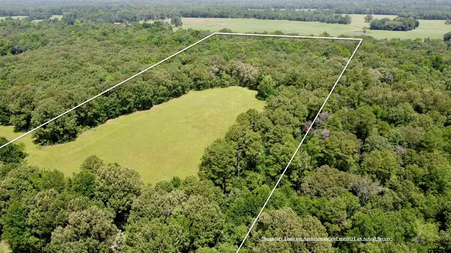 TBD Cr 44400-2, Powderly, TX 75473 - #3