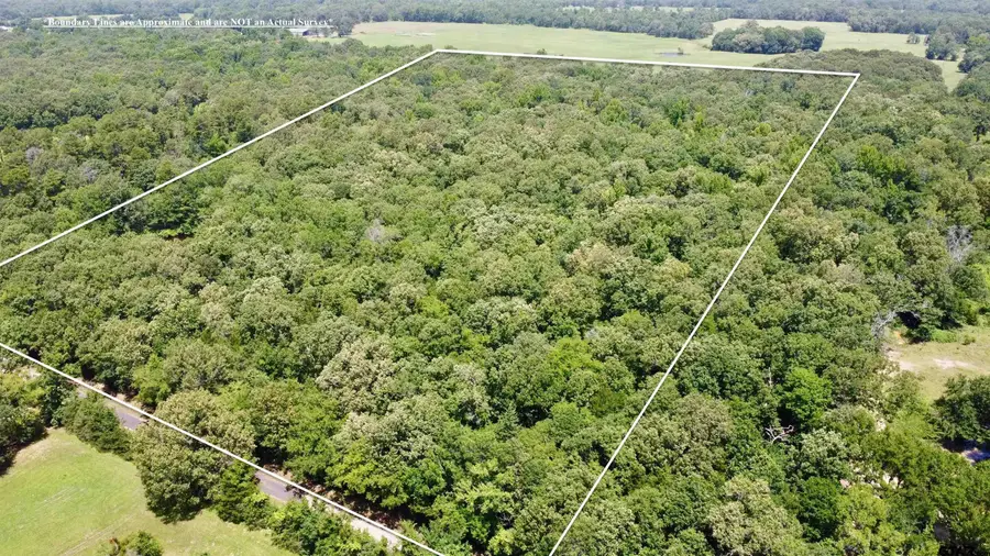 TBD Cr 44400-3, Powderly, TX 75473 - #3