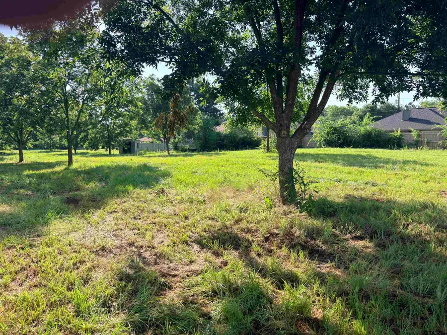 TBD Fm 2493, Bullard, TX 75757 - #2