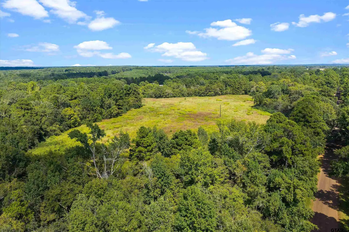 TBD W Cr 4187, Laneville, TX 75654 - #1