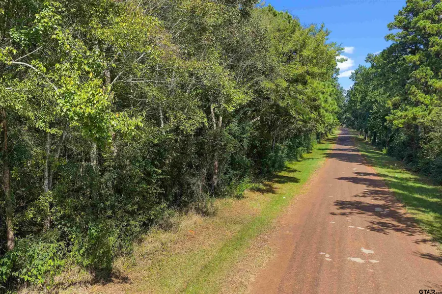 TBD W Cr 4187, Laneville, TX 75654 - #2