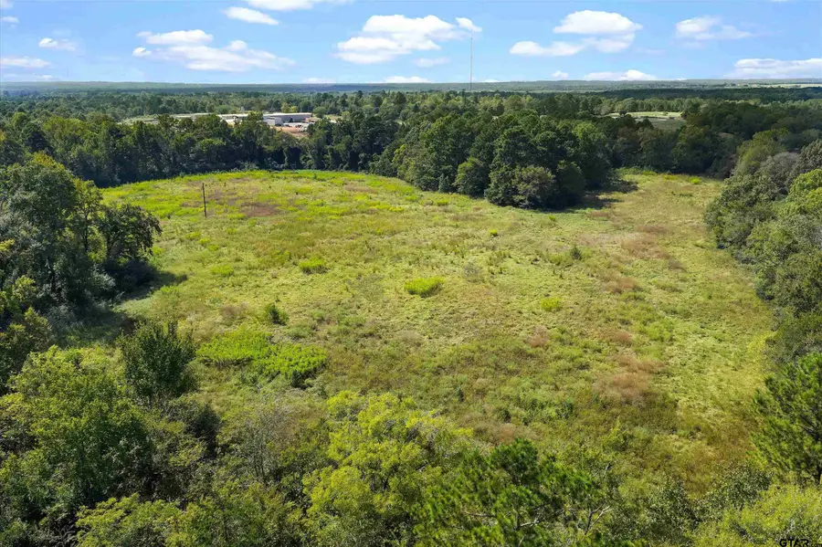 TBD W Cr 4187, Laneville, TX 75654 - #3