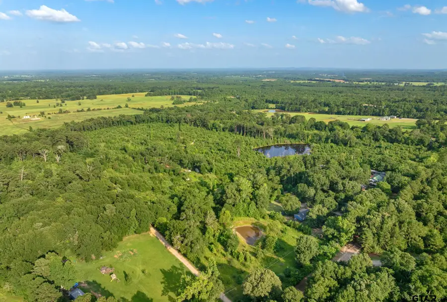 TBD County Road 2159, Troup, TX 75789 - #2