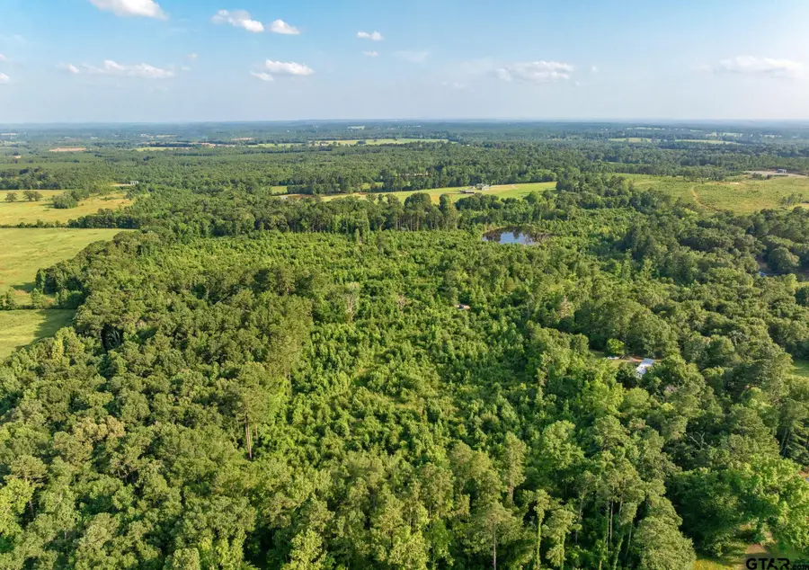 TBD County Road 2159, Troup, TX 75789 - #3