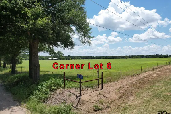 Lot 6 Vz Cr 3208, Wills Point,  75169