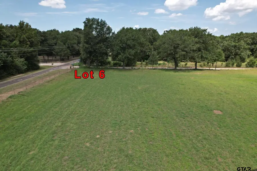 Lot 6 Vz Cr 3208, Wills Point, TX 75169 - #3