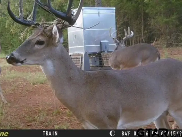 TBD C R 440, Lindale, TX 75771 - #2