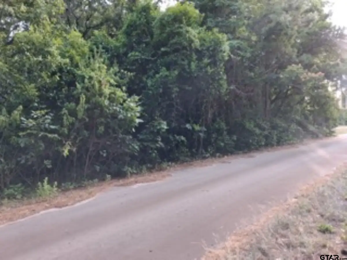 tbd Chapparal Run, Callender Lake, TX 75778 - #1