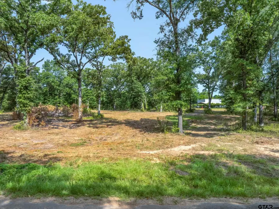 TBD Cr 2880, Mineola, TX 75773 - #2