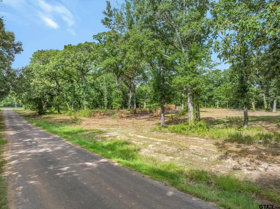 TBD Cr 2880, Mineola, TX 75773 - #3