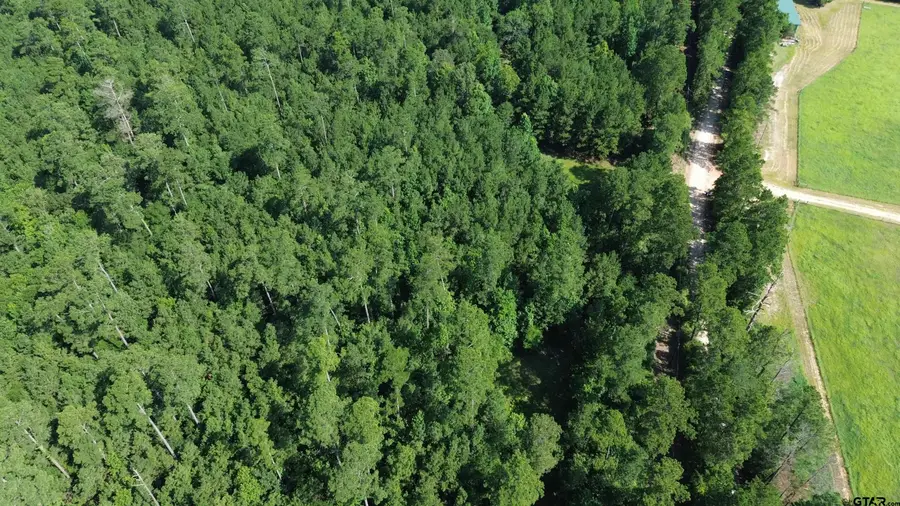 TBD Cr 4740, Kennard Ratcliff, TX 75847 - #2