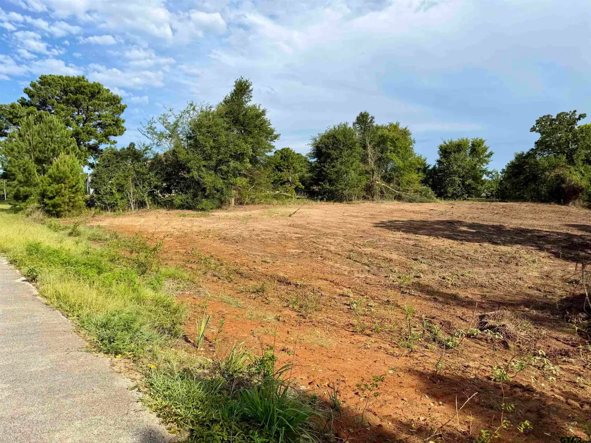 13358 Nance Lane, Lindale, TX 75771 - #1