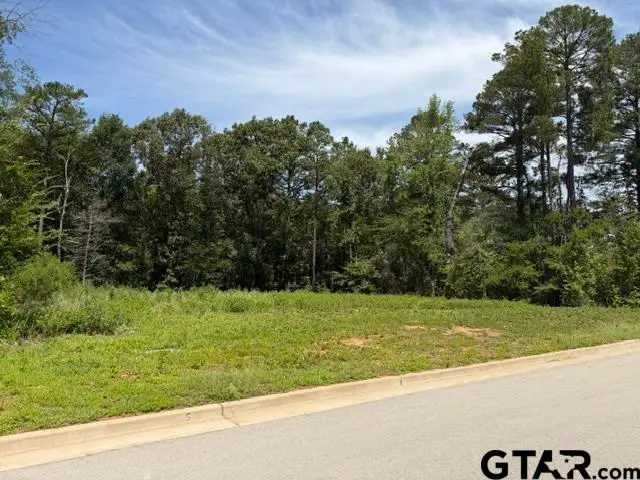 7929 Maple Ln, Tyler, TX 75703 - #2