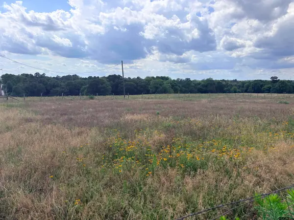 TBD County Road 1140, Tyler,  75709