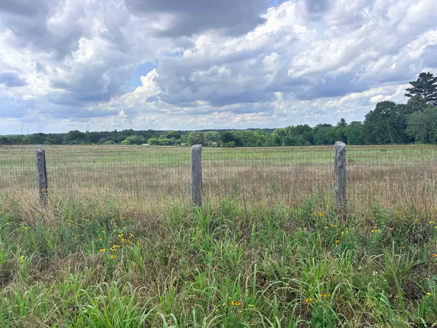 TBD County Road 1140, Tyler, TX 75709 - #2