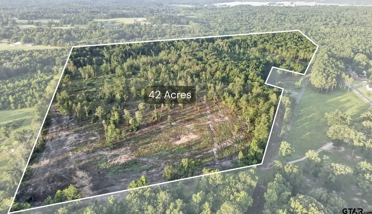 TBD 42 Acres Cr 3116, Winona, TX 75792 - #1