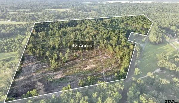 TBD 42 Acres Cr 3116, Winona,  75792