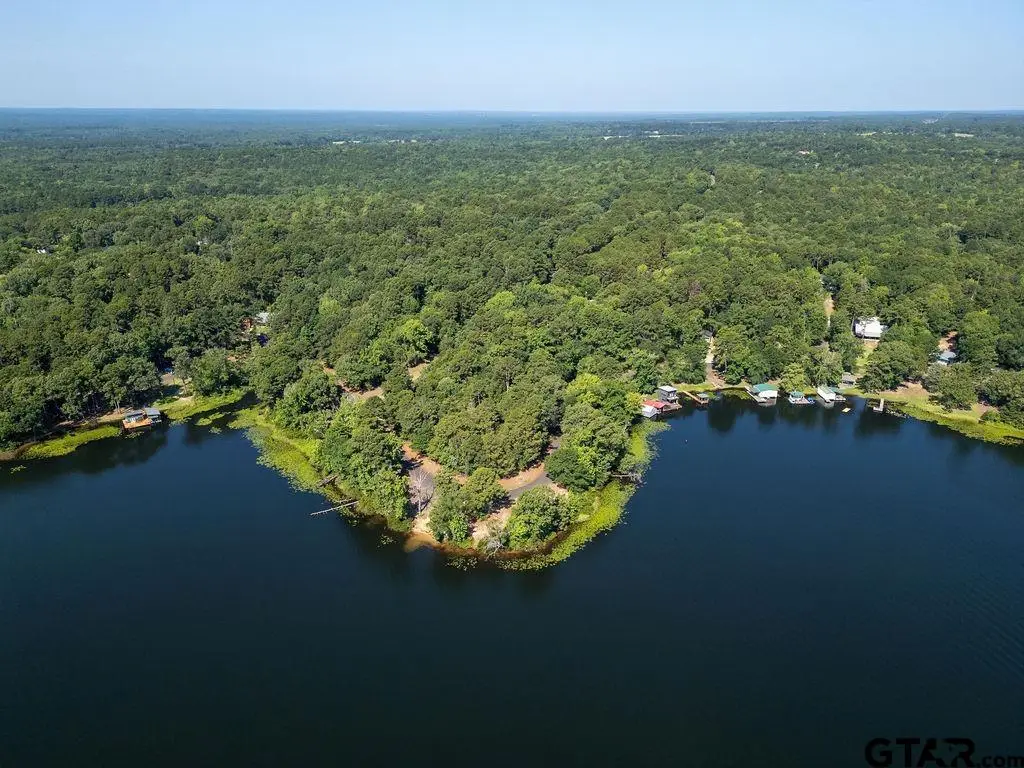 TBD County Road 3440, Hawkins, TX 75765 - #1