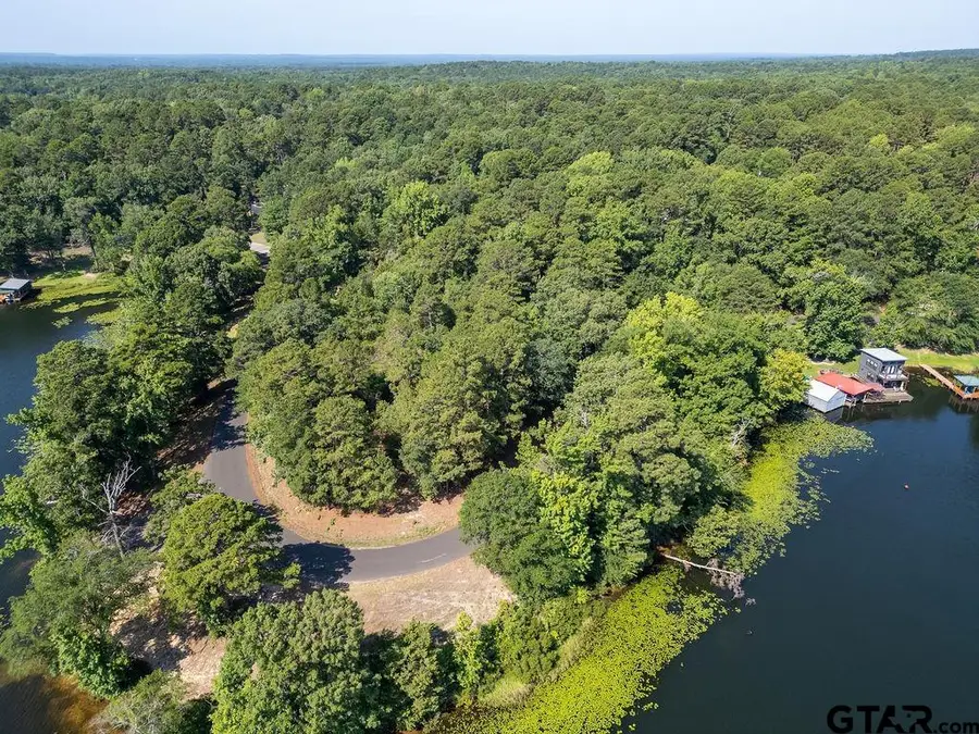 TBD County Road 3440, Hawkins, TX 75765 - #3