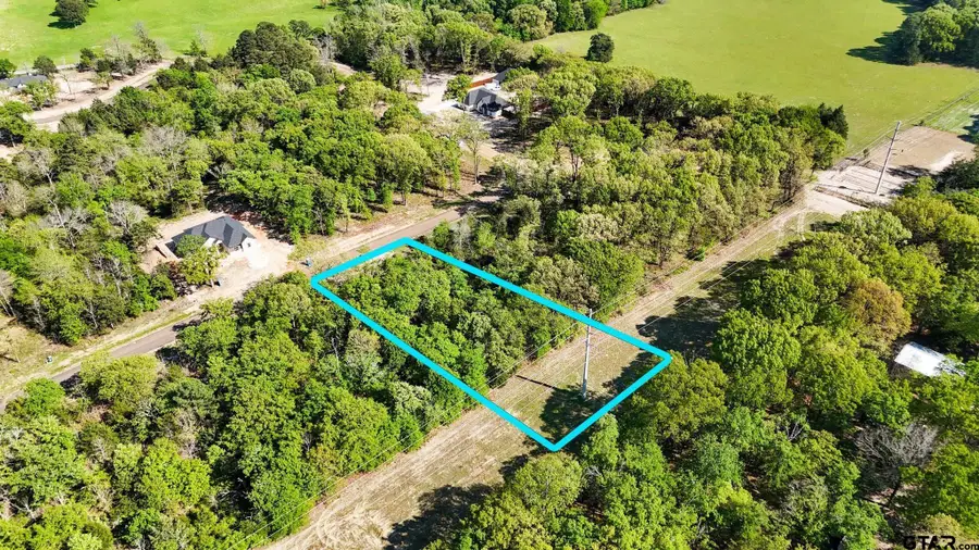 TBD Pr 6305 Lot 61, Mineola, TX 75773 - #2