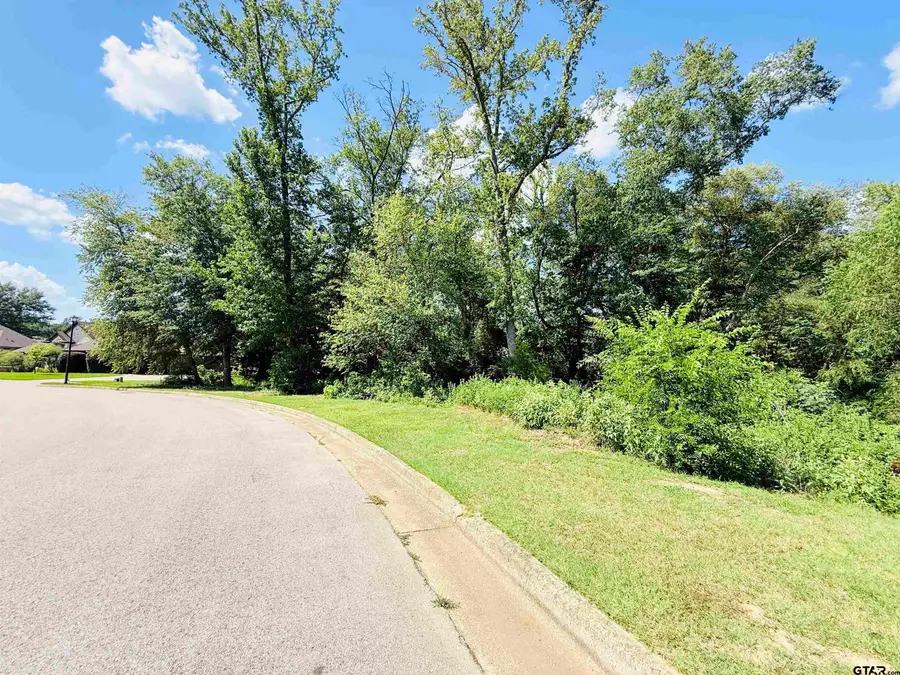 1104 Cambridge Bend, Tyler, TX 75703 - #2