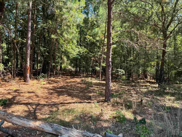 Lot 195 Green Meadow Trail, Holly Lake Ranch,  75765