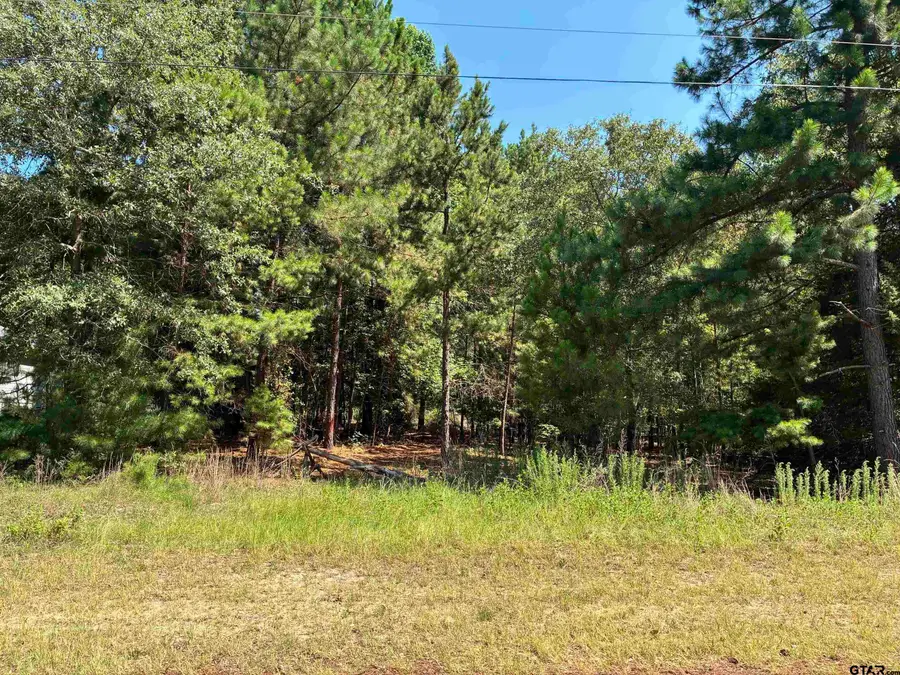 Lot 195 Green Meadow Trail, Holly Lake Ranch, TX 75765 - #2