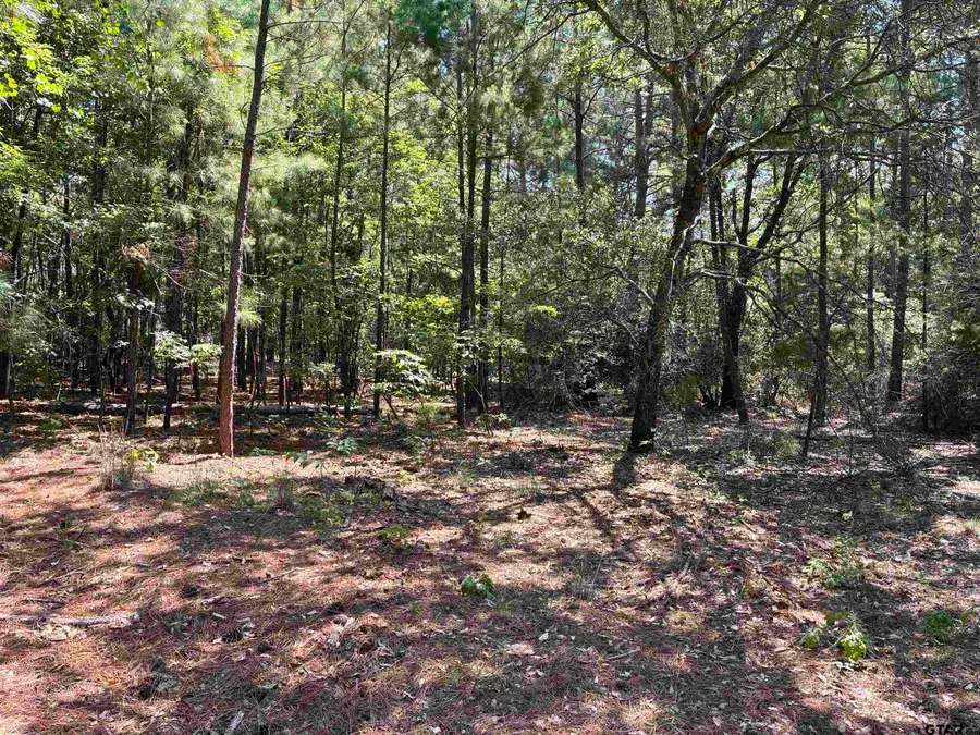 Lot 195 Green Meadow Trail, Holly Lake Ranch, TX 75765 - #3