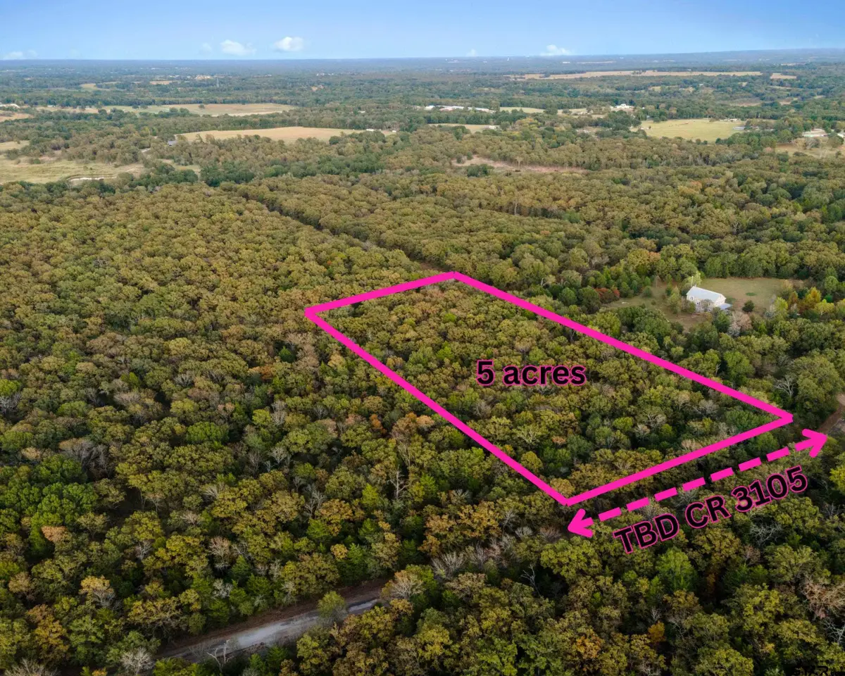 TBD County Road 3105 - 5 Acres, Edgewood, TX 75117 - #1
