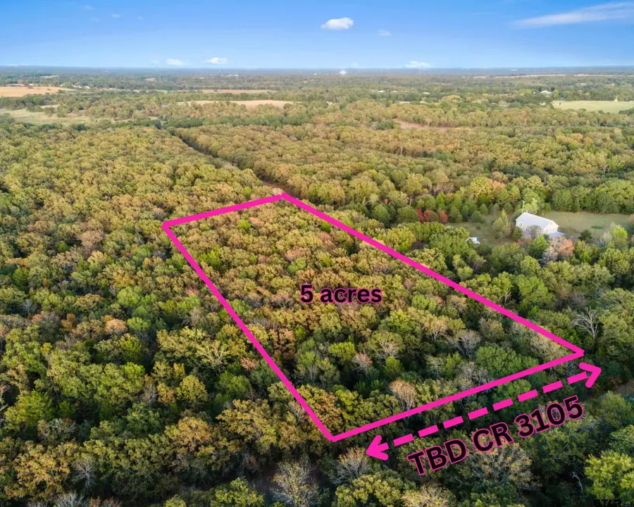 TBD County Road 3105 - 5 Acres, Edgewood, TX 75117 - #2