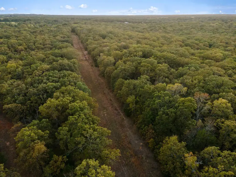 TBD County Road 3105 - 5 Acres, Edgewood, TX 75117 - #3