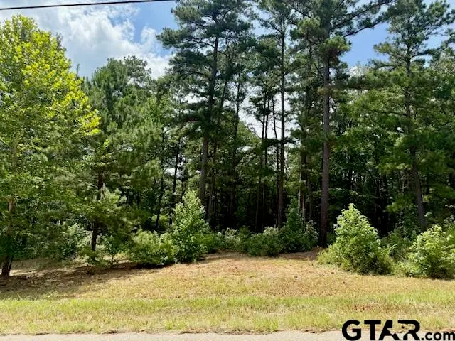 16203 County Road 436, Lindale, TX 75771 - #1