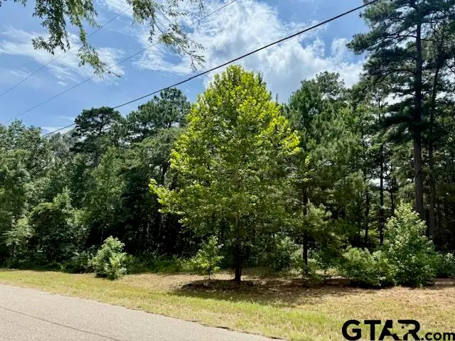 16203 County Road 436, Lindale, TX 75771 - #2