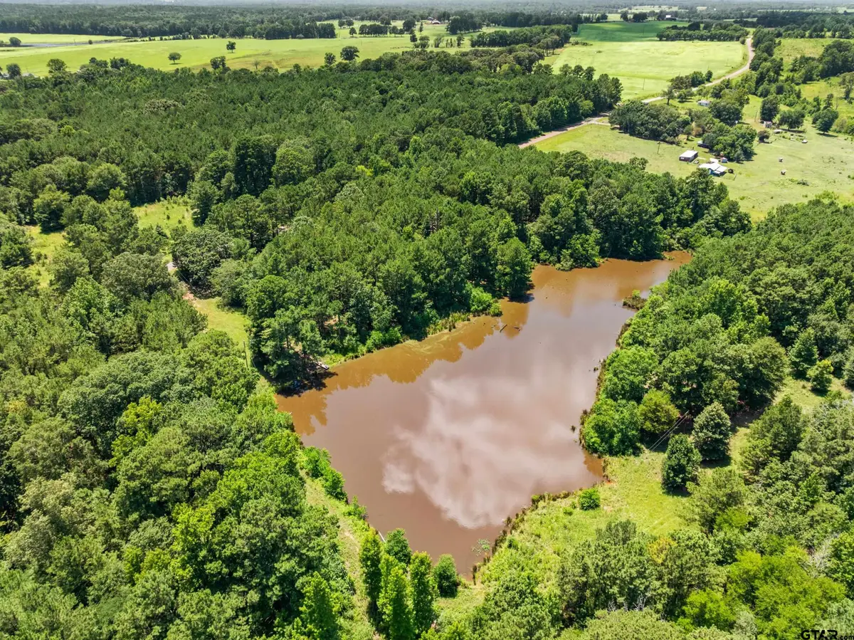 22315 County Road 2110, Troup, TX 75789 - #1