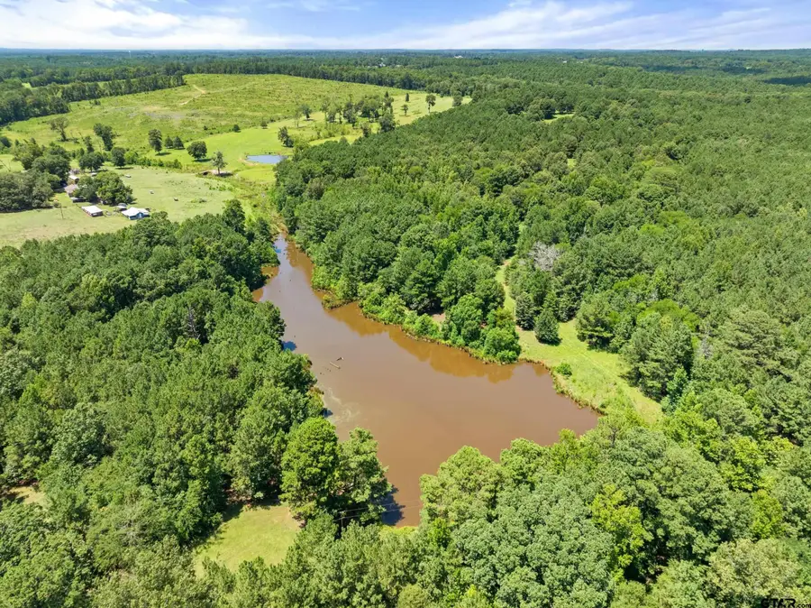 22315 County Road 2110, Troup, TX 75789 - #3