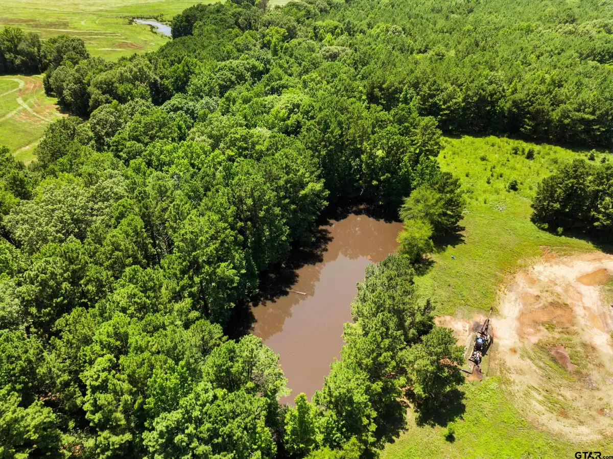 22356 County Road 2110, Troup, TX 75789 - #1