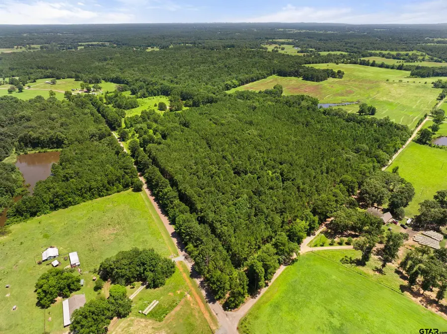 22356 County Road 2110, Troup, TX 75789 - #2