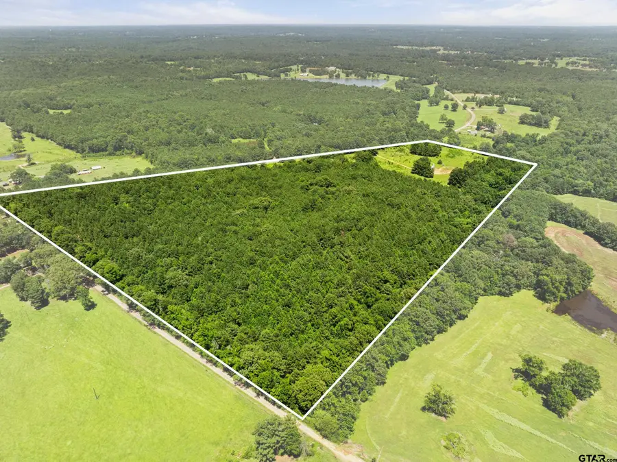 22356 County Road 2110, Troup, TX 75789 - #3