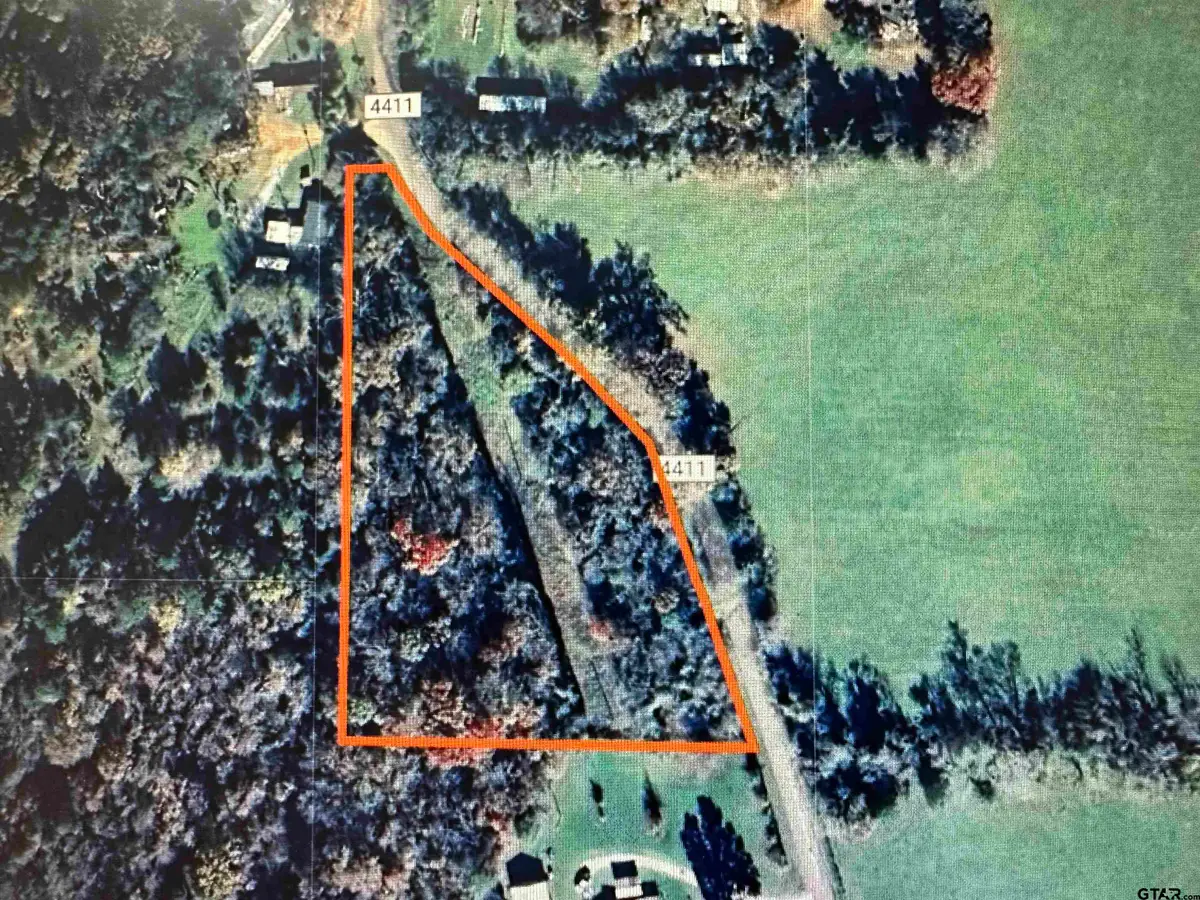000 Cr 4411 2.69 Acres, Reklaw, TX 75784 - #1