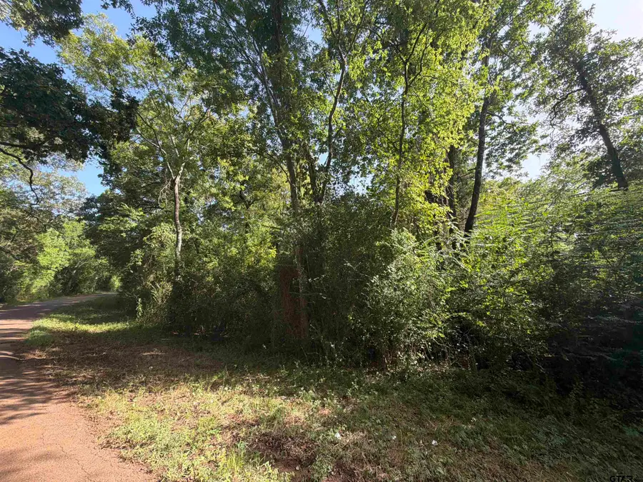 000 Cr 4411 2.69 Acres, Reklaw, TX 75784 - #3