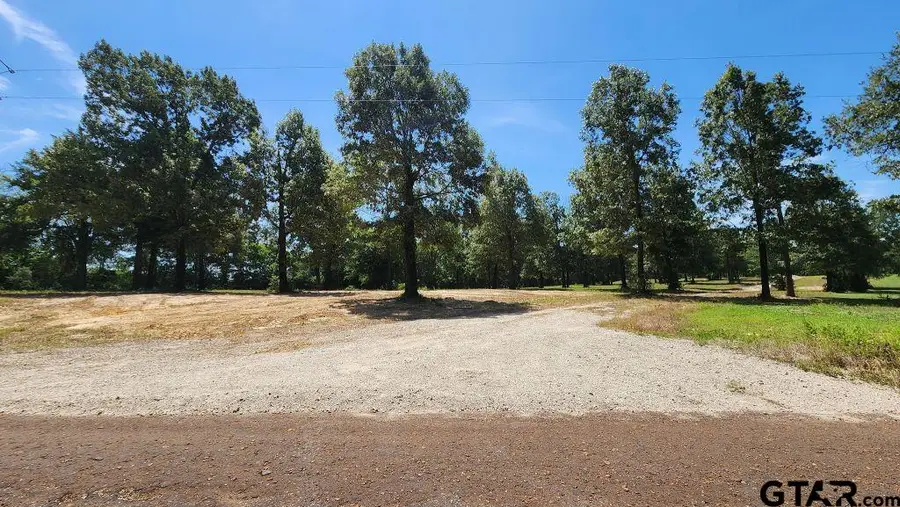 151 Bluewood Rd, Big Sandy, TX 75755 - #3
